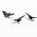 Three Black Flying Birds Spreading Wings and Opening Beaks Against White Background
