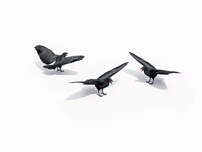 Three Black Flying Birds Spreading Wings and Opening Beaks Against White Background 3d model
