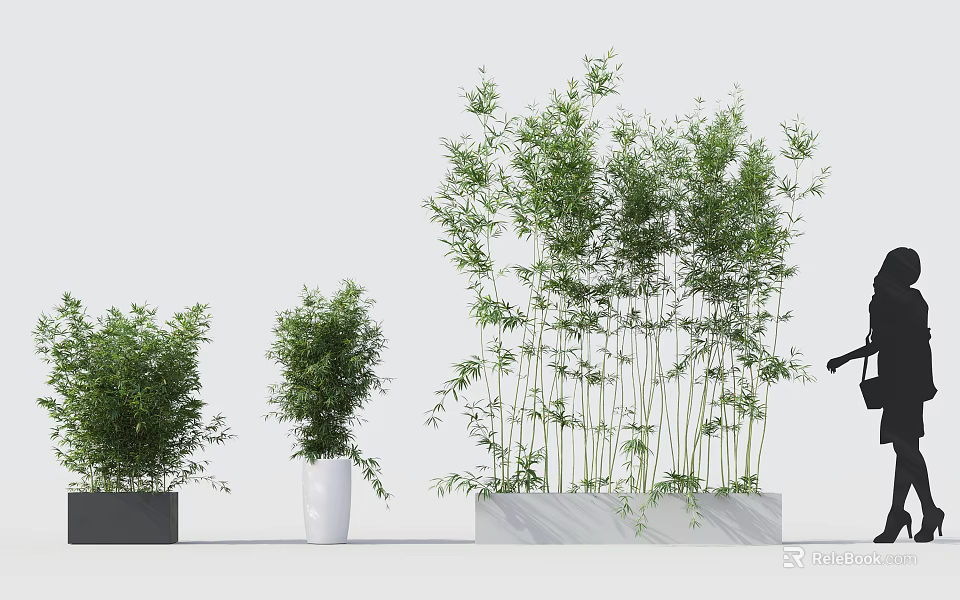 Bonsai Potted Plants Featuring Bamboo And Greenery In Various Height Containers 3d model 