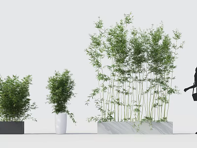 Bonsai Potted Plants Featuring Bamboo And Greenery In Various Height Containers 3d model