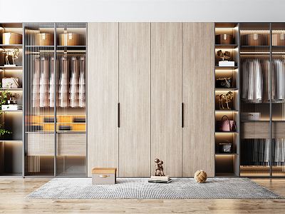 Modern wardrobe model