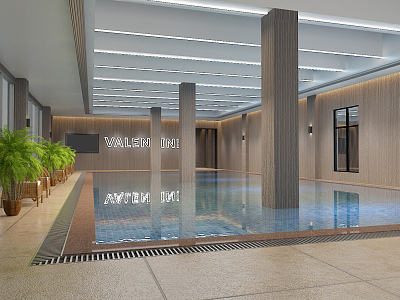 Modern Swimming Pool model