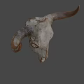 Weathered Bull Skull Against Blue Sky With Dry Land And Trees