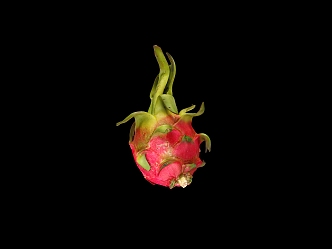 fruit dragon fruit 3d model