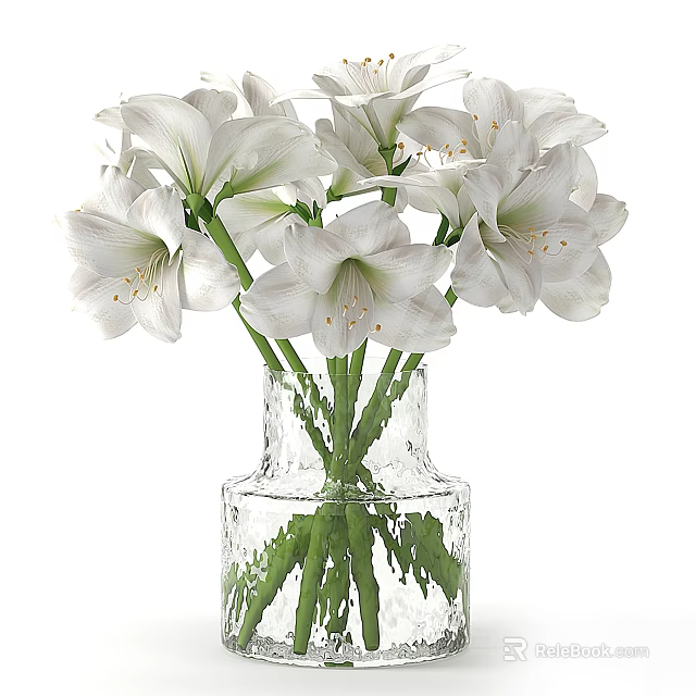 White Amaryllis Flowers in Textured Clear Glass Vase with Green Stems 3d model 