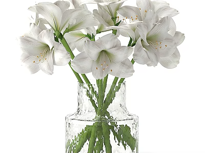 White Amaryllis Flowers in Textured Clear Glass Vase with Green Stems 3d model