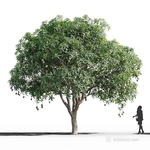 Tall Mature Tree With Dense Green Foliage And Sturdy Trunk In Outdoor Garden 3d model 