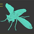 Detailed Horsefly Insect With Transparent Wings Striped Body And Orange Legs