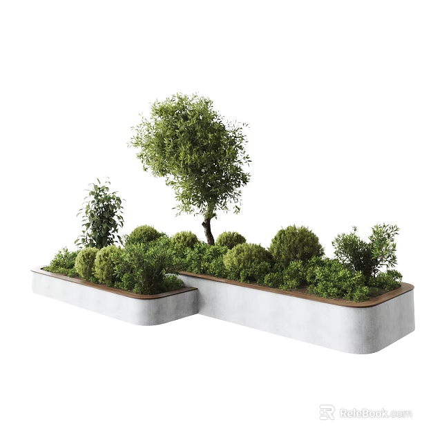Connected Rectangular Concrete Planters With Various Green Plants Bushes And A Tree 3d model 