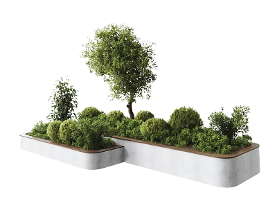 Connected Rectangular Concrete Planters With Various Green Plants Bushes And A Tree 3d model