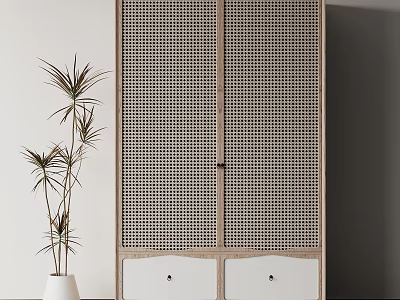 Modern Wooden Wardrobe with Rattan Door Design and Bottom Drawers in Minimalist Interior 3d model