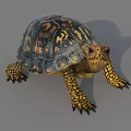 Reptile Turtle With Colorful Shell And Yellow Black Patterned Limbs On Gray Background 3d model