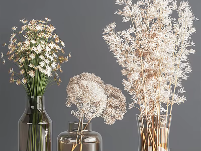 Elegant Modern Glass Vase Arrangement With Dried White Flowers And Neutral Background 3d model