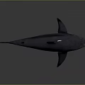 Dark Colored Shark In Swimming Pose With White Underbelly Red Mouth Sharp Teeth