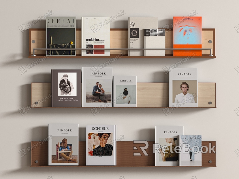 Modern Natuzzi Bookshelf model