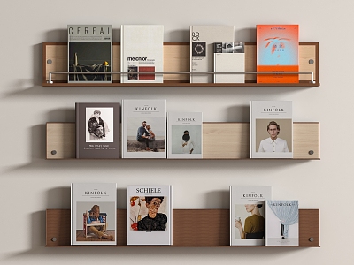 Modern Natuzzi Bookshelf model