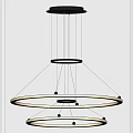 Modern chandelier combination 3d model
