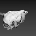 Detailed White Cow Skull With Curved Horns On Dark Background