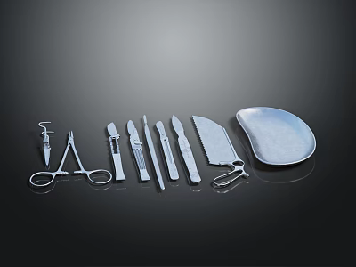 Professional Surgical Instruments Set With Scalpel Forceps Scissors And Tray 3d model