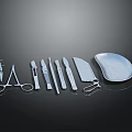 Professional Surgical Instruments Set With Scalpel Forceps Scissors And Tray