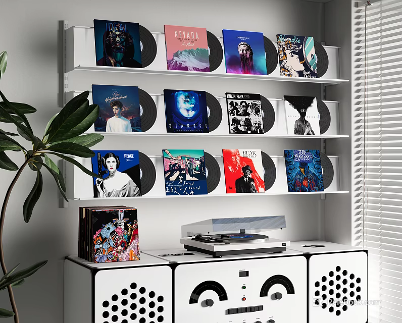 Decorative Ornament Set with Vinyl Records Display on Wall Shelf Record Player and Green Plant 3d model 