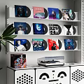 Decorative Ornament Set with Vinyl Records Display on Wall Shelf Record Player and Green Plant
