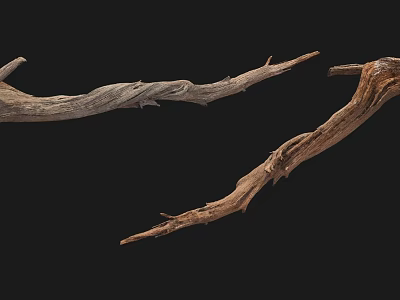 Wooden Stone Textured Dry Branches With Twisted Shape And Natural Look 3d model