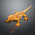 Lizard Anime Lizard Cartoon Lizard Reptile Cold Blooded Animal Reptile 3d model