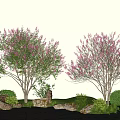 Beautiful Plant Combination With Pink Flowering Trees Stones And Green Shrubs