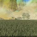 Peaceful Natural Landscape With Lush Green Cropland Misty Pine Trees And Foggy Distant Mountain View