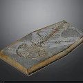 Prehistoric Animal Fossil Skeleton with Detailed Bones Preserved in Stone Slab