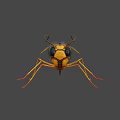 Detailed Wasp Insect With Compound Eyes Antennae And Yellow Black Stripes On Dark Background