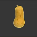 Fresh Whole Yellow Squash on Dark Background with Natural Reflection