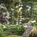 Tranquil Garden Pond Landscape With Water Lilies Lily Pads Rocks And Trees