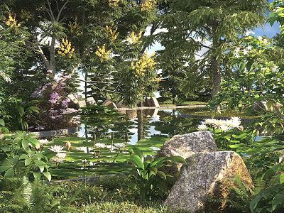 Tranquil Garden Pond Landscape With Water Lilies Lily Pads Rocks And Trees 3d model
