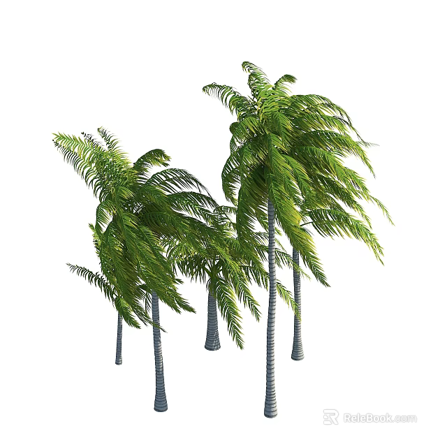 Tropical Palm Trees With Green Fronds And Slender Trunks In Natural Posture 3d model 