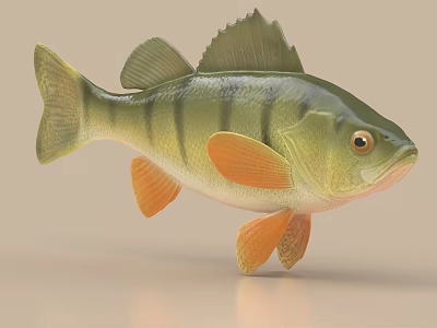 Striped Aquatic Fish Featuring Green Body And Orange Fins On Light Beige Background 3d model