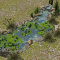 Natural Garden Water Fountain With Lotus Leaves Stones And Green Plants