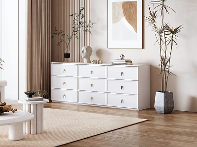 Modern White Shoe Cabinet With Multiple Drawers And Decorative Plants In Living Space 3d model