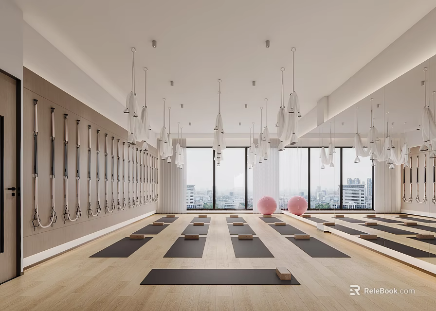 Bright Yoga Studio Interior With Mats Hammocks And Exercise Balls 3d model 