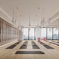 Bright Yoga Studio Interior With Mats Hammocks And Exercise Balls 3d model