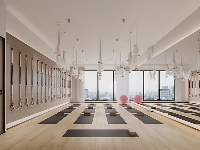 Bright Yoga Studio Interior With Mats Hammocks And Exercise Balls 3d model