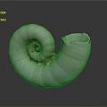Nautilus Spiral Shell With White Color And Detailed Texture On Gray Background