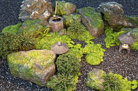 Japanese style courtyard landscape sketch stone landscape stone micro-terrain water portland green plant pile 3d model