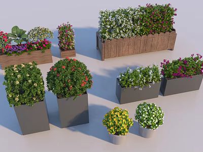 Various Potted Plants In Wooden And Gray Planters With Colorful Flowers 3d model
