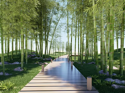 Scenic Wooden Pathway Through Bamboo Forest With Tall Green Bamboo Trees 3d model
