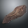 Ancient Well Preserved Dinosaur Fossil Skeleton Structure On Stone Slab