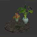 Large Leafy Plant and Small Green Plant in White Pots on Round Marble Tabletop