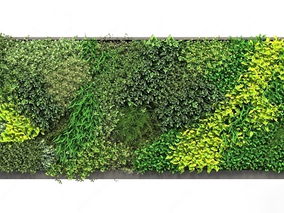 Modern Outdoor Vertical Greening Green Wall Landscape Wall Green Wall Flowers and Plants Decorative Wall Shopping Mall Green Wall Flowers and Plants Landscape Wall model