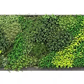 Living Wall Featuring Dense Various Green And Yellow Foliage For Decor 3d model